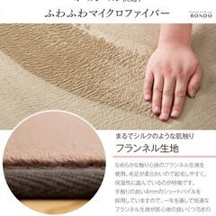 G19　未使用/新品　未開封　 ラグ 1畳 90×180cm 「くすみ」カラー 洗える ホットカーペット対応 ラグマット カーペットの画像