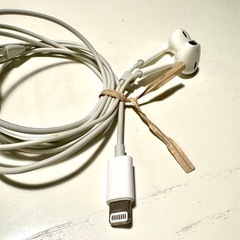 iPhoneライトニングケーブルイヤフォン純正の画像