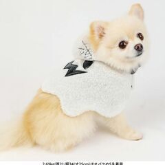 ペット用品　ハロウィン オバケケープの画像