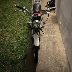 TL50の画像