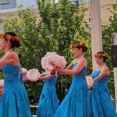 八王子　フラダンスNEWメンバー募集の画像