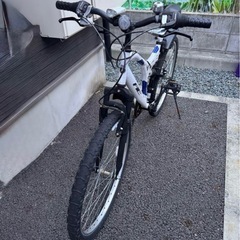 MONTEREY2618 5236の画像