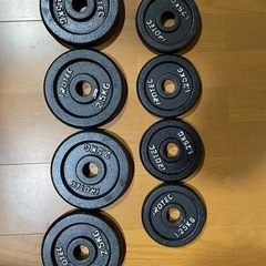 アイロテック  シャフト　プレートセット
の画像