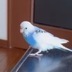 ランキングキーワードに紐づく投稿画像-迷子