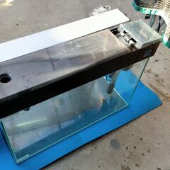 ◆【 特　価 】◆《  LEGLASS  KOTOBUKI  R600S  ( 曲げガラス水槽 )  》◆１０１３の画像
