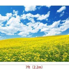 撮影 背景布 2.2m×1.5m 自然風景 青空 花畑 室内 撮影用の画像