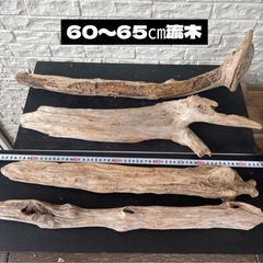 流木NO30の画像