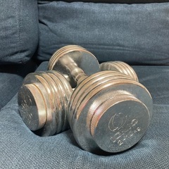 可変式　ダンベル　IGNIO アジャスタブル　2kg〜10kgの画像