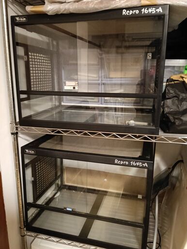 爬虫類ケージRepro1645-A（引取限定） (ろくぞう) 柏のその他の