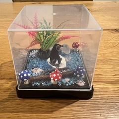 海洋生物ミニチュアディスプレイセット(自作)の画像