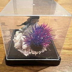 海洋生物ミニチュアディスプレイセット(自作)の画像