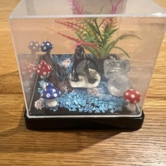 海洋生物ミニチュアディスプレイセット(自作)の画像