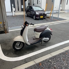 スクーピー
の画像