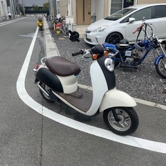 スクーピー
の画像