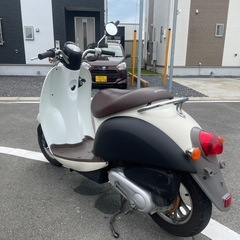 スクーピー
の画像