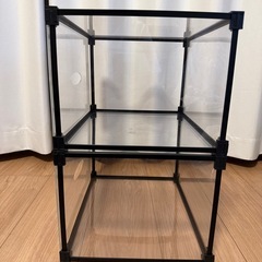 スニーカー　シューズボックス　
2つの画像