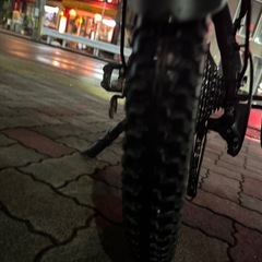 ERWAY-a02 電動アシスト【状態良好 最安値】　の画像