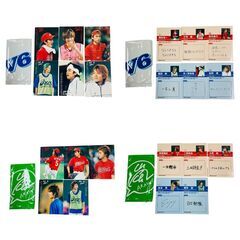 美品 ジャニーズ体育の日FAN感謝祭～完全密着スペシャル篇～ 初回生産限定版の画像