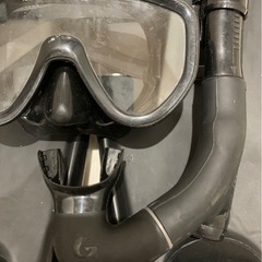 GALLの画像