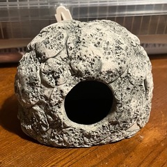 ハムスターのねぐら　寝床　ハウス　かまくらの画像