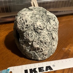 ハムスターのねぐら　寝床　ハウス　かまくらの画像