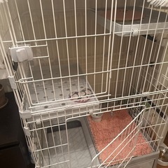 猫ケージ　トイレ付の画像