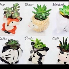 動物ミニセラミック植木鉢 6個セット（植物なし）の画像