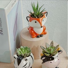 動物ミニセラミック植木鉢 6個セット（植物なし）の画像