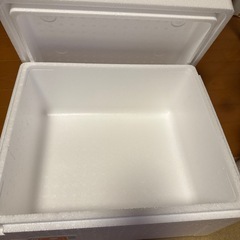 発泡スチロール 120の画像