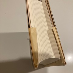 資本主義と闘った男 宇沢弘文と経済学の世界 佐々木実 講談社の画像