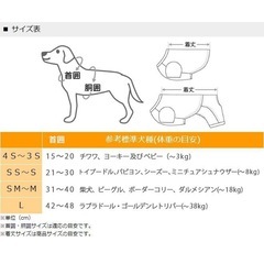 PET PARADISE カボチャの帽子の画像