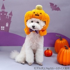 PET PARADISE カボチャの帽子の画像