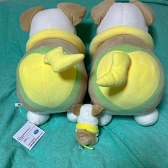 ポケモン　ワンパチ　ぬいぐるみセットの画像