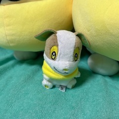 ポケモン　ワンパチ　ぬいぐるみセットの画像