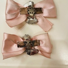 パンプスクリップの画像