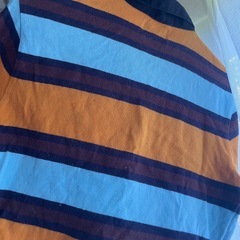 Stussy クロップド丈Tシャツ Mの画像
