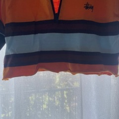 Stussy クロップド丈Tシャツ Mの画像