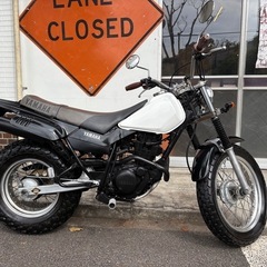 ❣️希少❣️ノーマル　YAMAHA 　TW200 ホワイトの画像