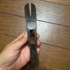 超希少✩.*˚四国伊予型の画像