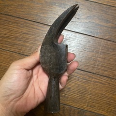 超希少✩.*˚四国伊予型の画像