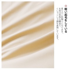 掛布団カバー(シングル・150x210cm ベージュ)の画像