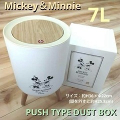 ミッキー&ミニーダストボックスの画像