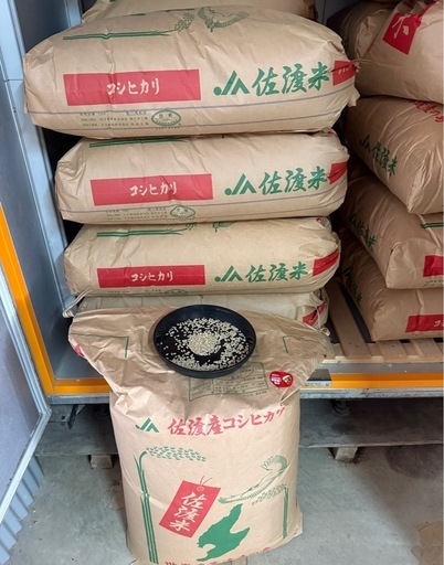 取引中    　古米（2024 令和6年産）　コシヒカリBL  玄米　50Kg