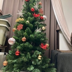 クリスマスツリーの画像