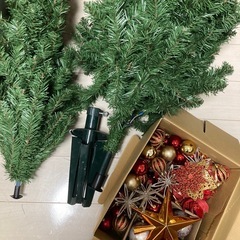 クリスマスツリーの画像