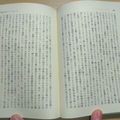 『万延元年のフットボール』大江健三郎　講談社文庫の画像