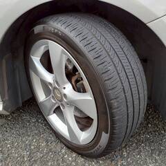 ベンツB180スポーツ　車検8/3　48000ｋ　パノラマルーフ　黒革スポーツシート　純正HDDナビ＆フルセグTV＆Ｂカメラ　ETC　17AW　セーフティPKG　バリューPKG　禁煙車の画像