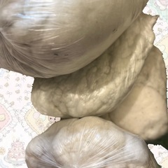 ぬいぐるみの中身の画像