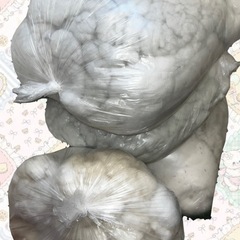ぬいぐるみの中身の画像