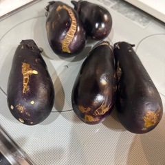 ナス5本の画像